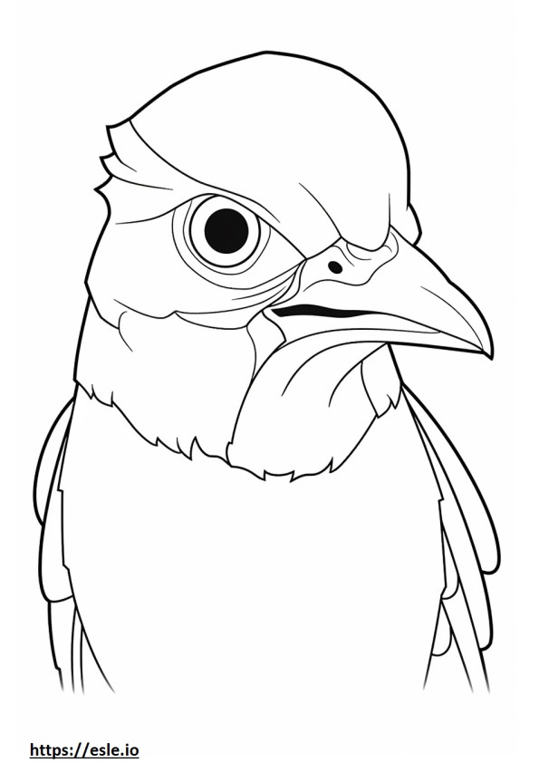 Great Crested Flycatcher face coloring page