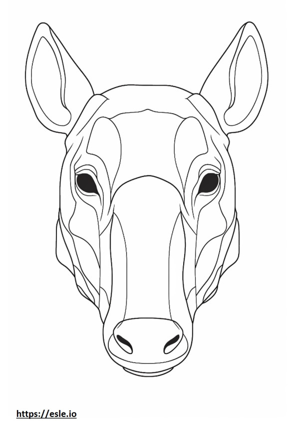 Tapir-gezicht kleurplaat