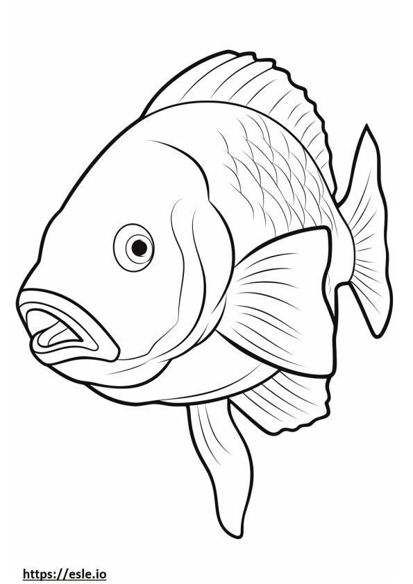 Oilfish cute coloring page