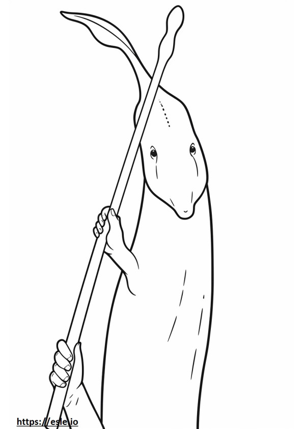 Narwhal cute coloring page