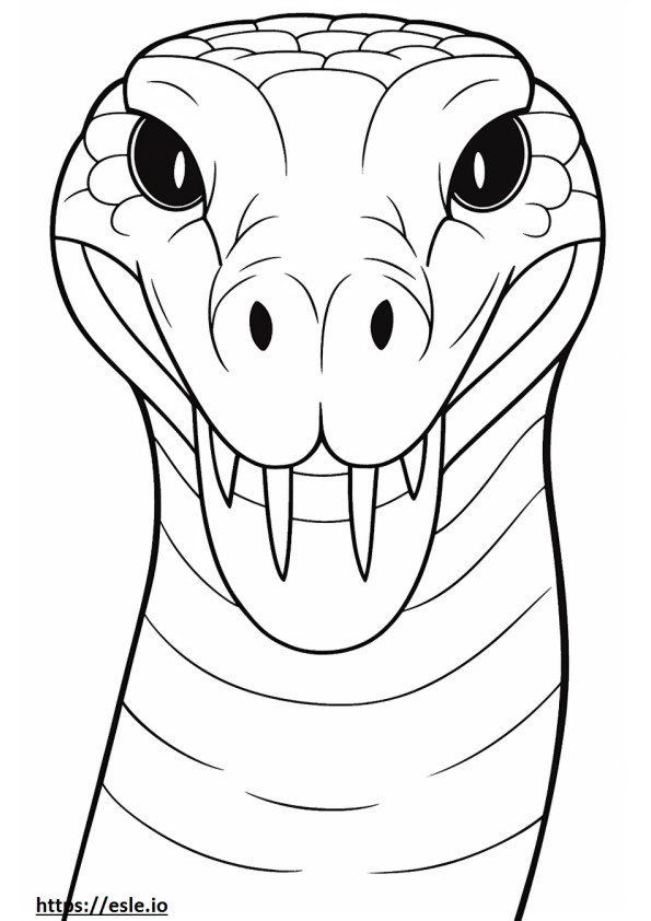 Great Plains Rat Snake face coloring page