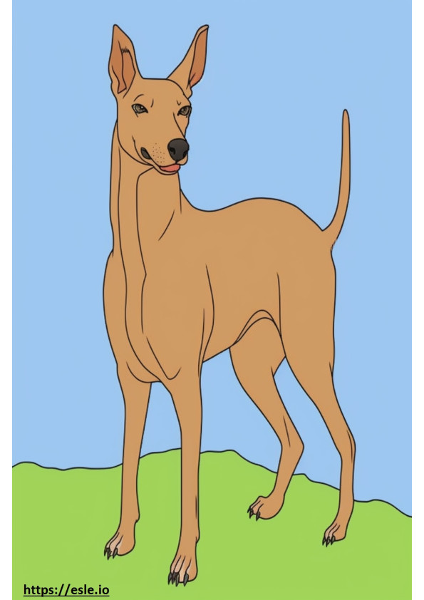 German Pinscher cute coloring page