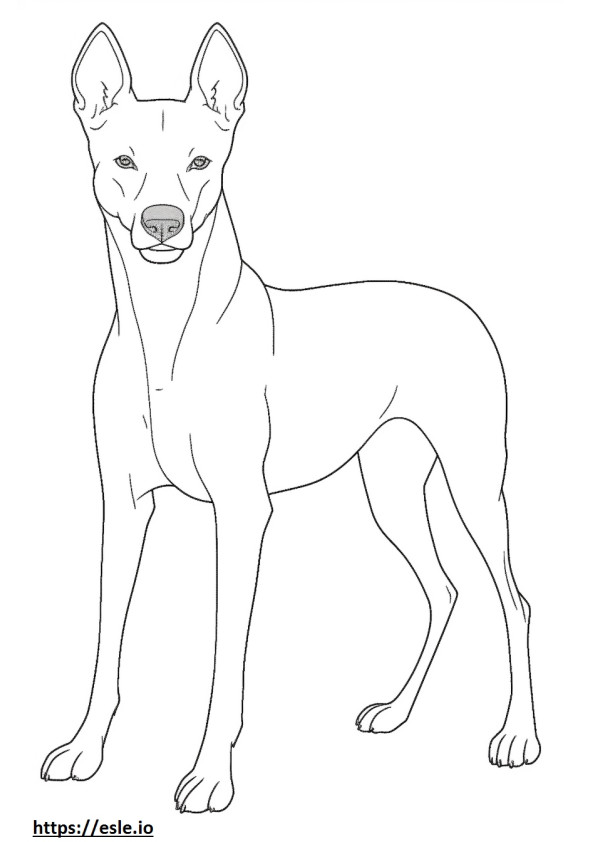 German Pinscher cute coloring page
