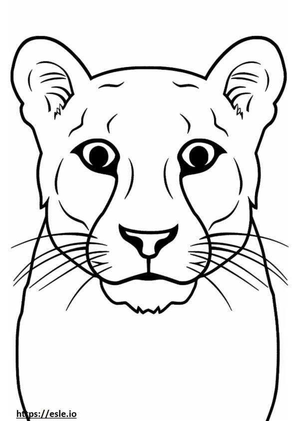 Mountain Lion kasvot värityskuva