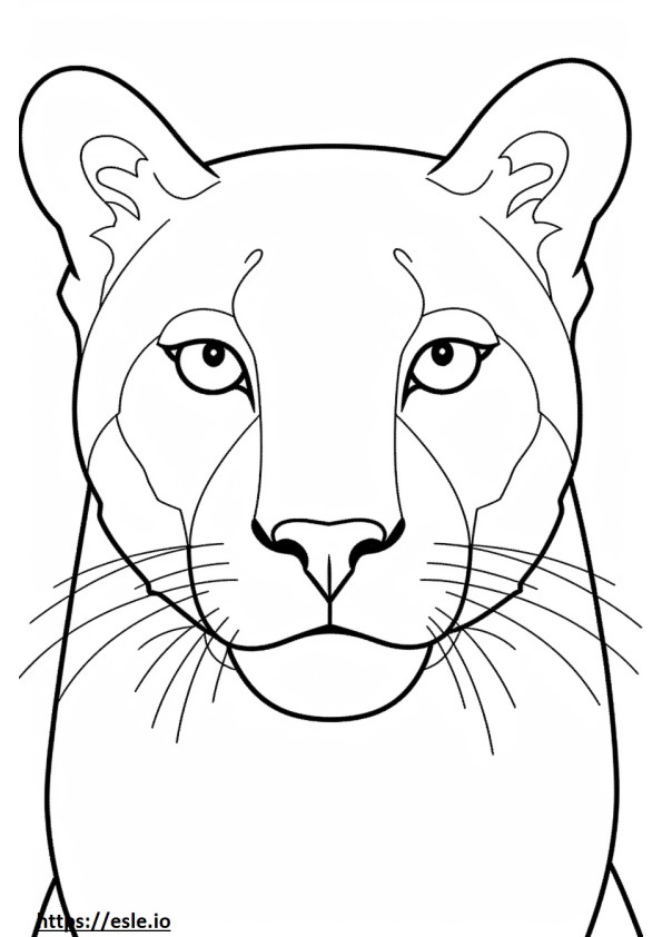 Mountain Lion kasvot värityskuva