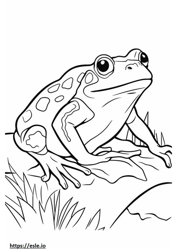 Oregon Spotted Frog -kasvot värityskuva