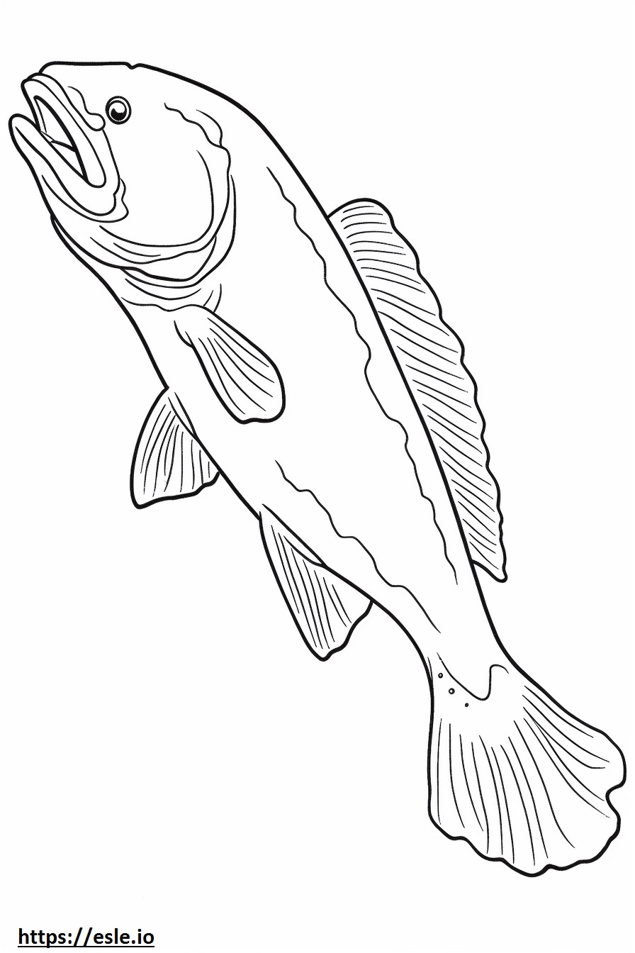 Keta Salmon full body coloring page