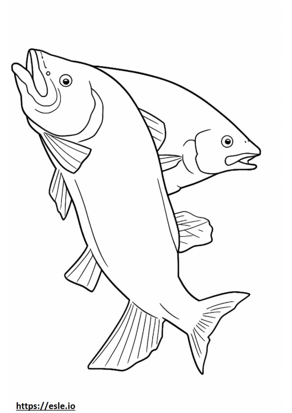 Keta Salmon full body coloring page