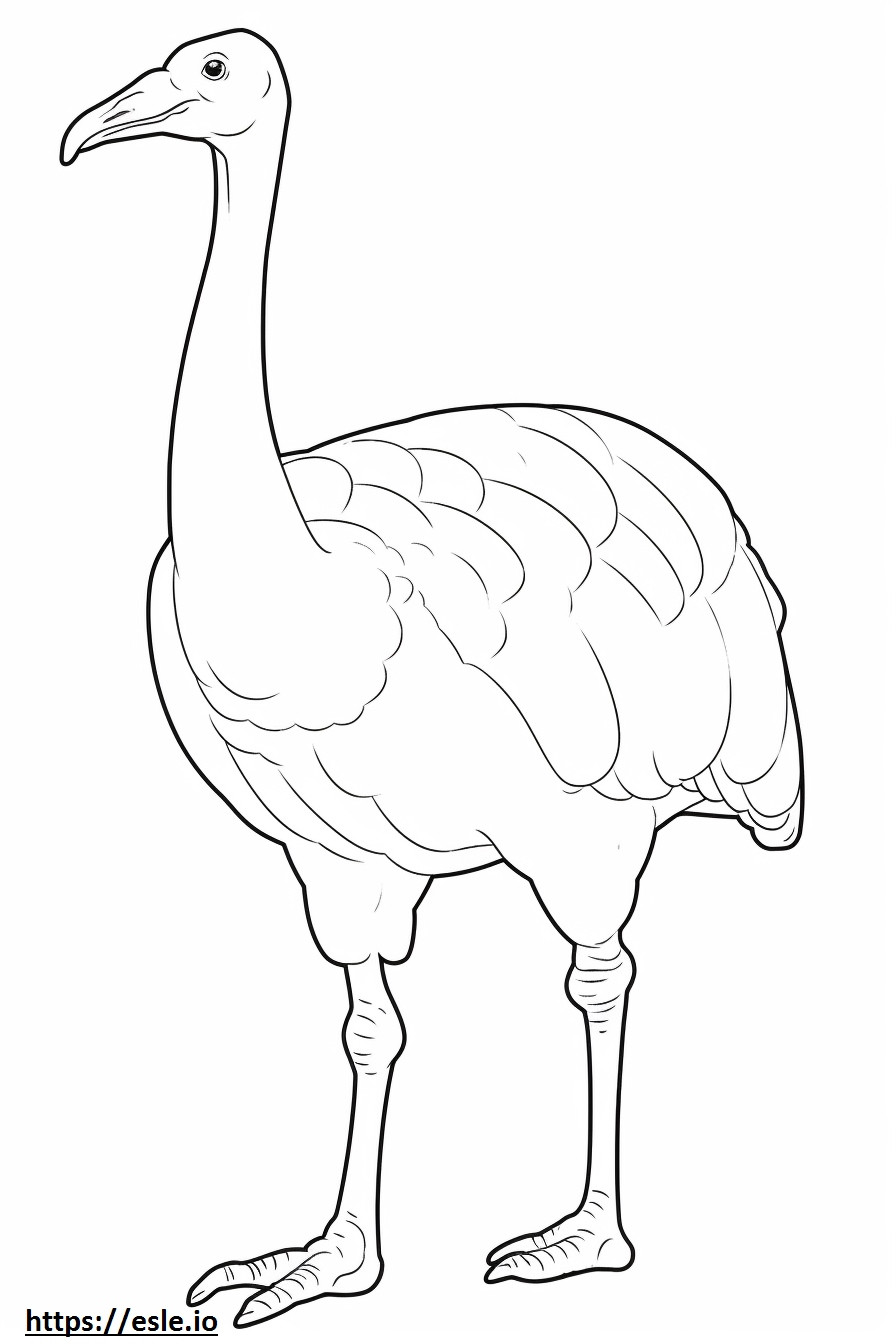 Olifantvogel volledig lichaam kleurplaat kleurplaat