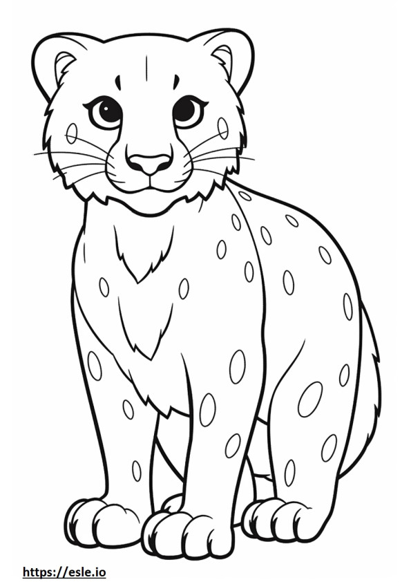 Kar Leoparı Kawaii boyama