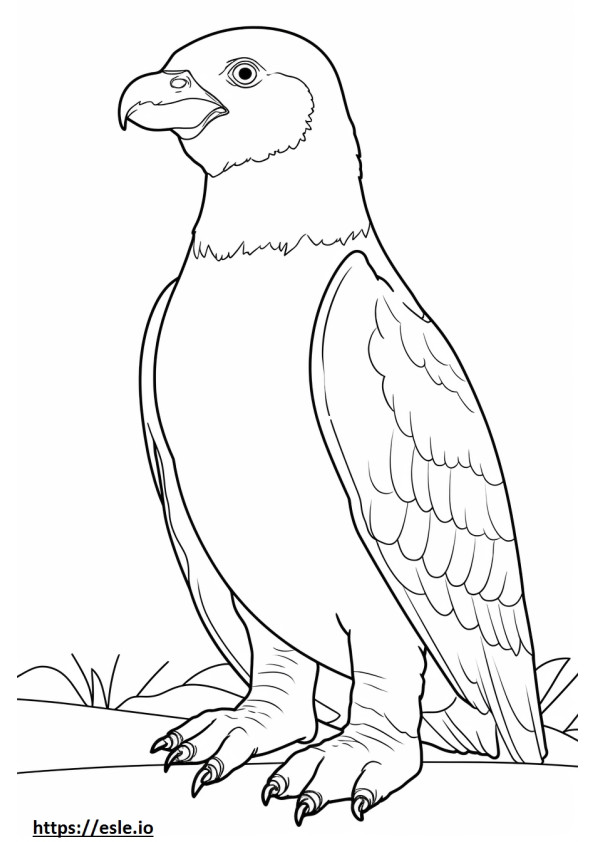 Humboldt Pengueni Kawaii boyama