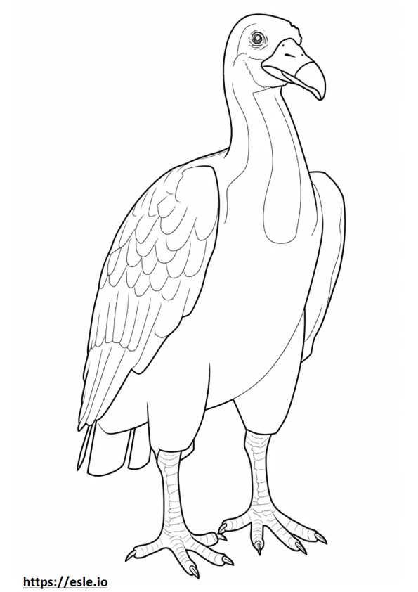 Turkey Vulture full body coloring page