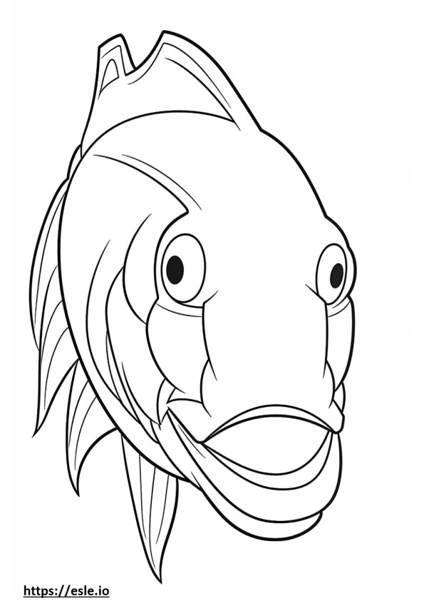 Cara de peixe-gato Pictus para colorir