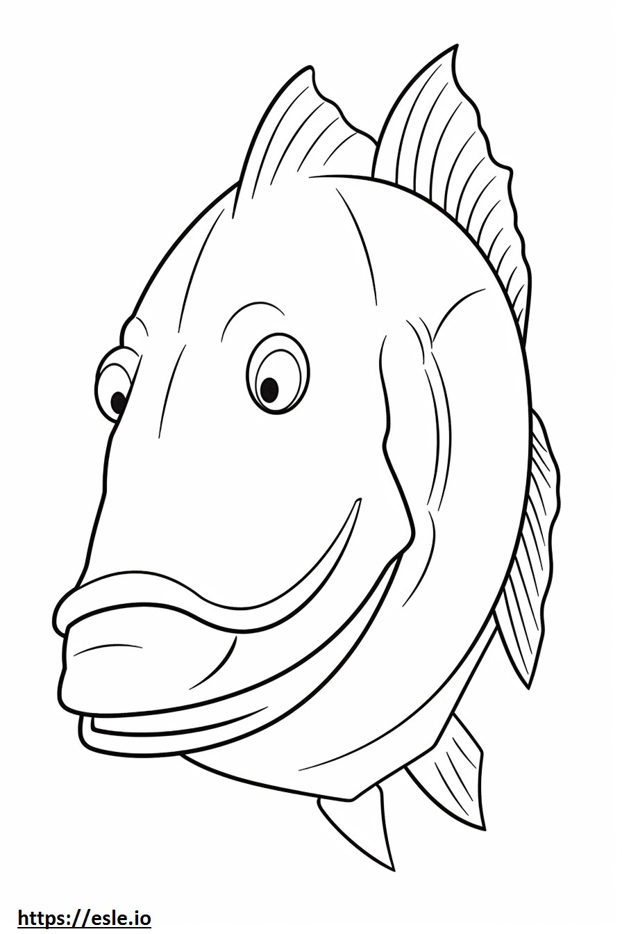 Pictus Yayın Balığı yüzü boyama