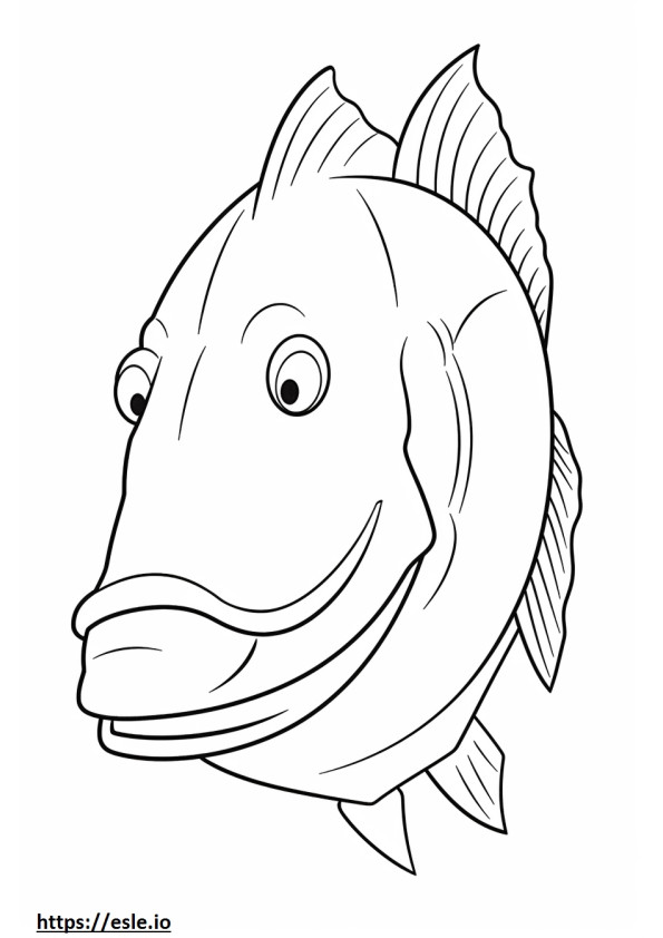 Pictus Catfish face coloring page
