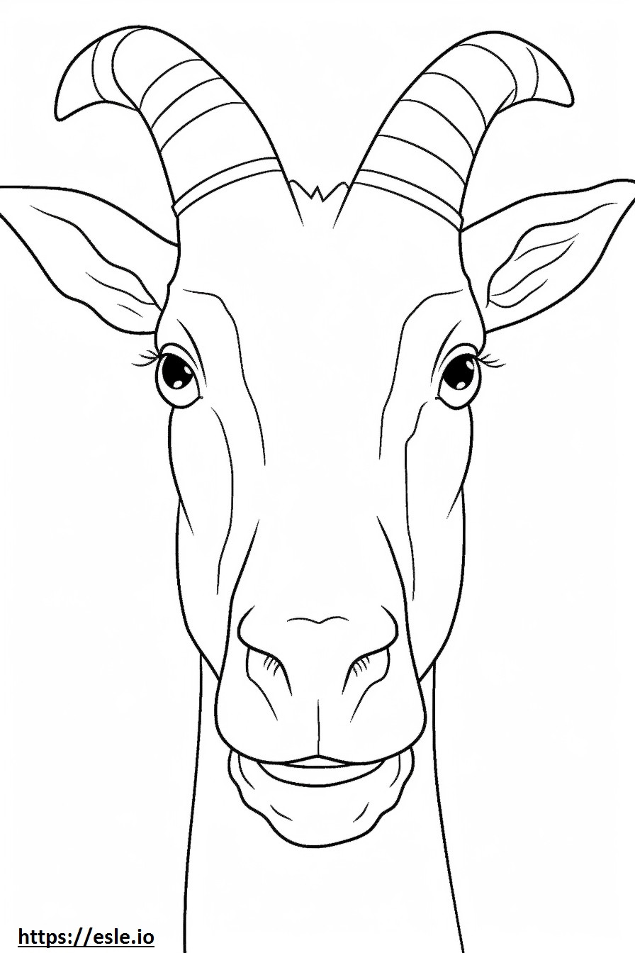 Saanen Goat face coloring page