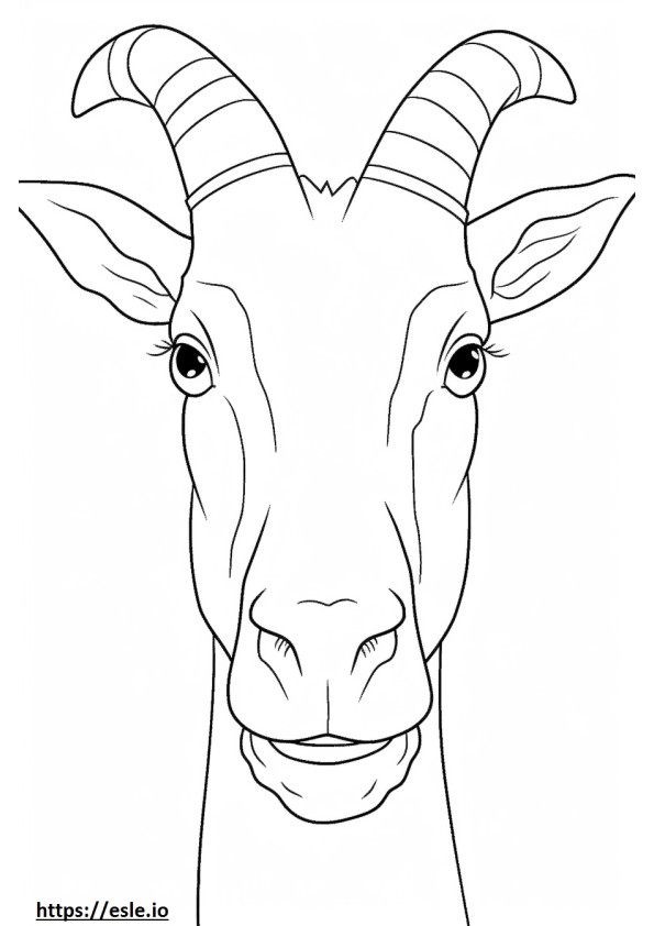 Saanen Goat face coloring page