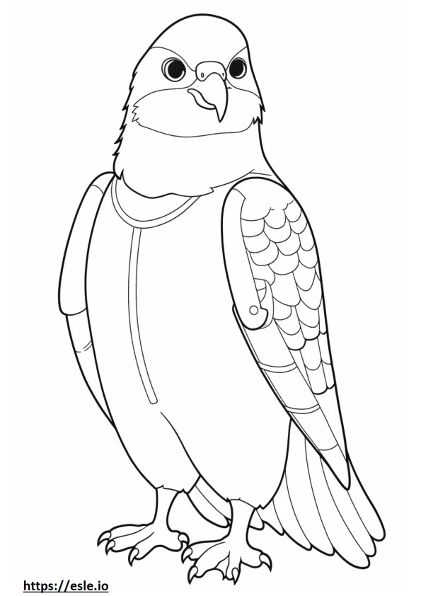 Il falco Kawaii di Swainson da colorare