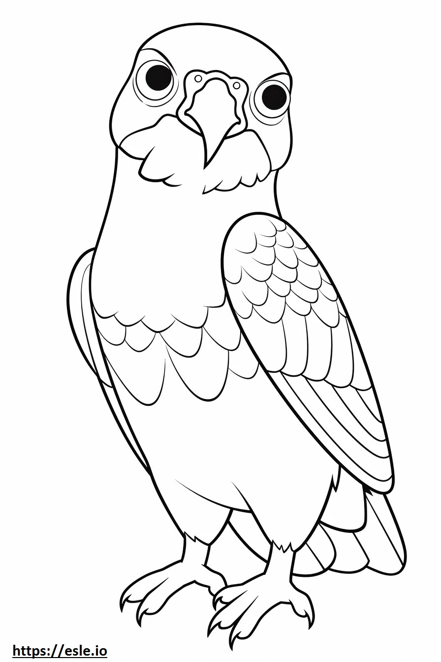 Il falco Kawaii di Swainson da colorare