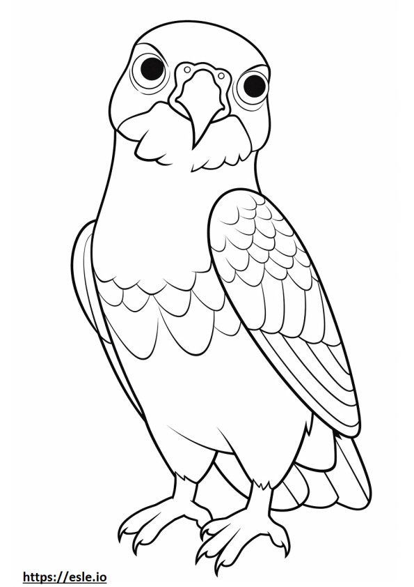 Falcão Kawaii de Swainson para colorir