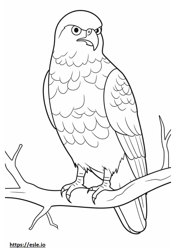 Swainsonin Hawk Kawaii värityskuva