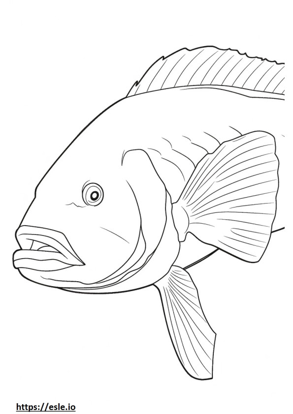 Coloriage Visage de poisson Barramundi à imprimer