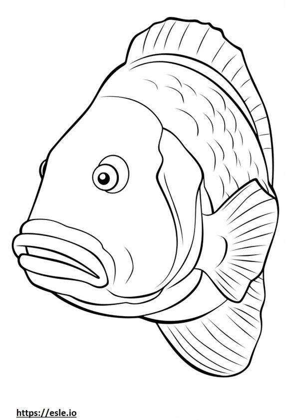 Barramundi Kalan kasvot värityskuva