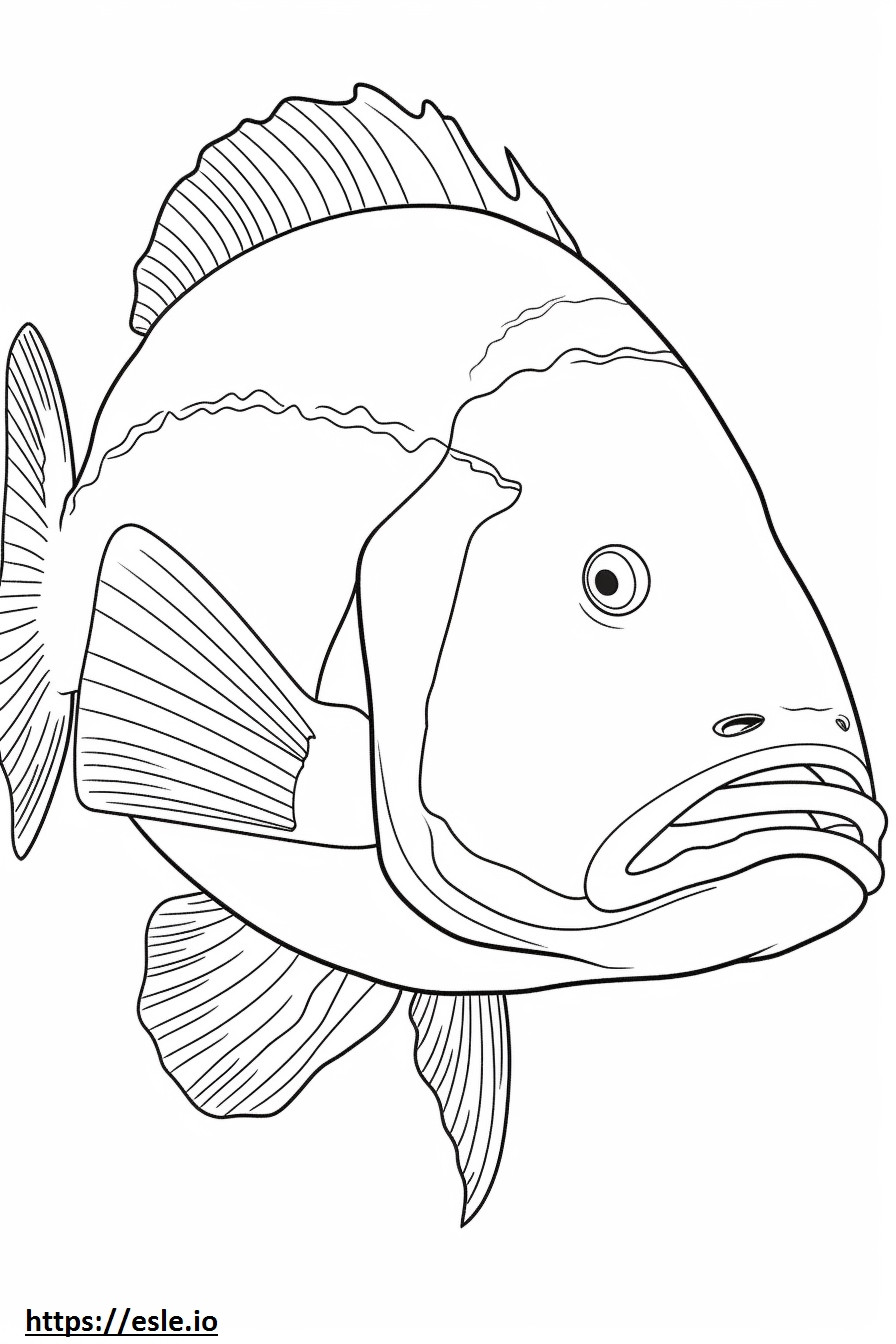 Coloriage Visage de poisson Barramundi à imprimer