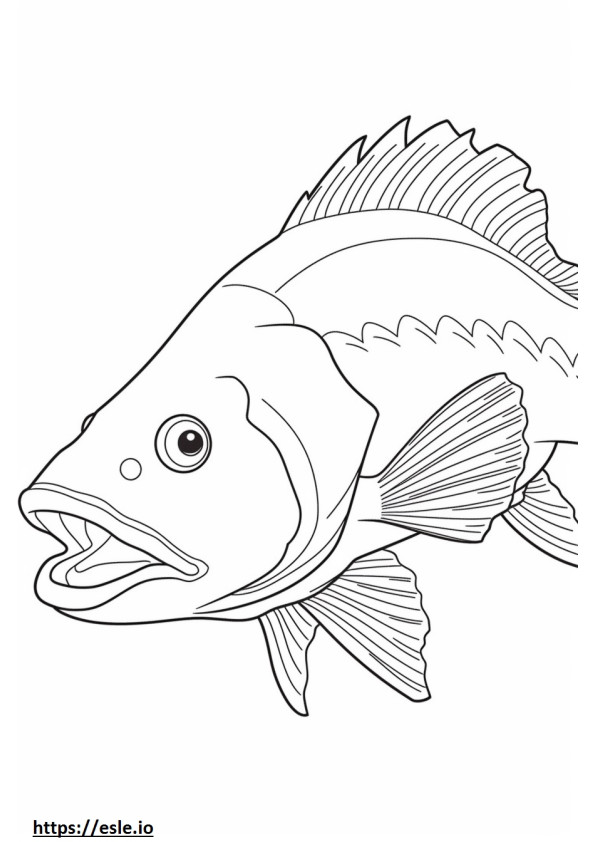 Faccia di pesce Barramundi da colorare