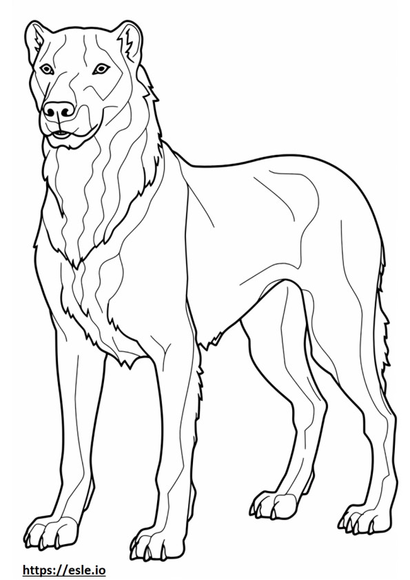 Irish Doodle full body coloring page