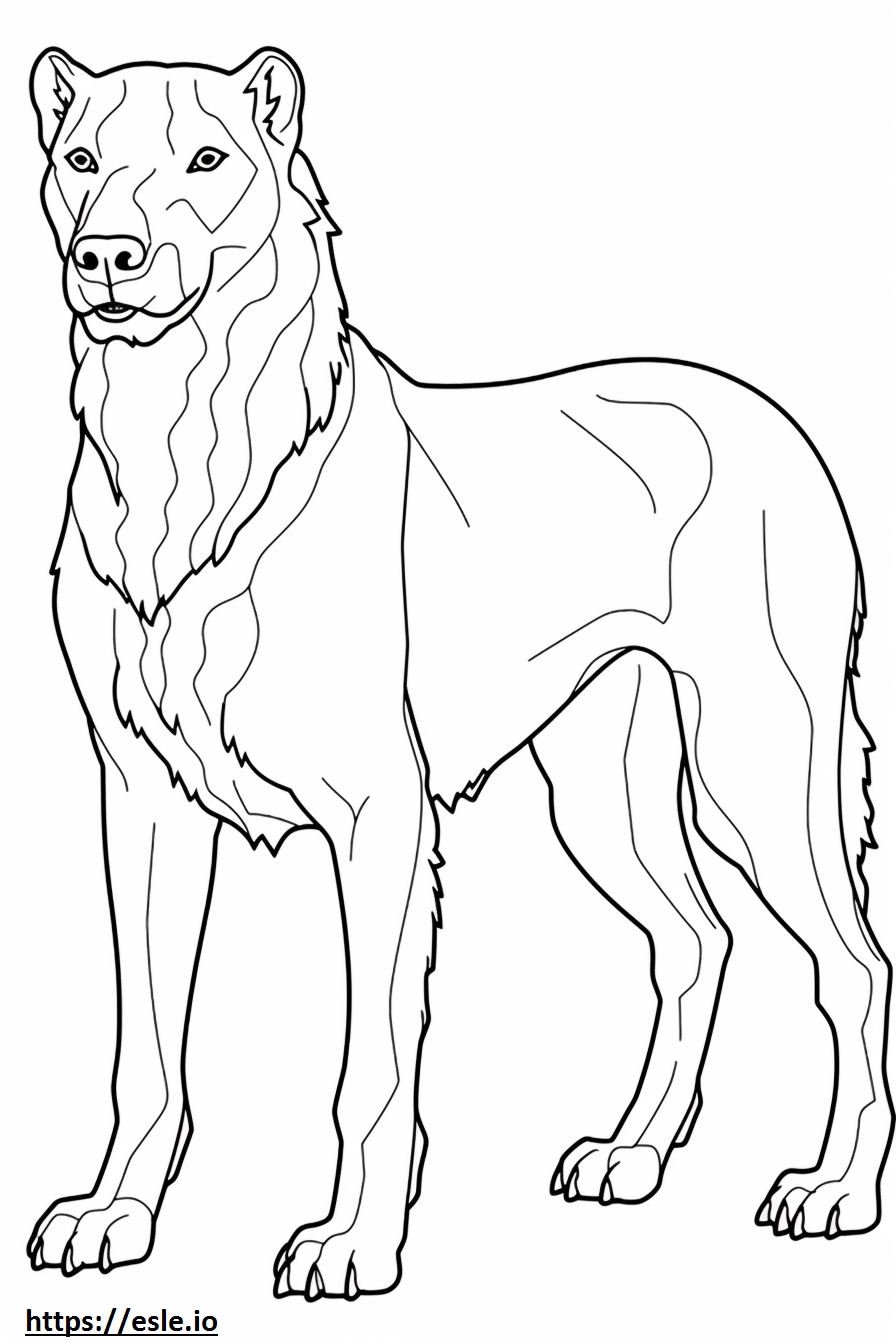 Irish Doodle full body coloring page
