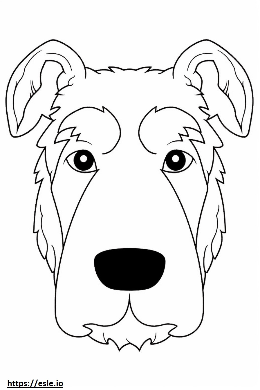 Welsh Terrier arc szinező