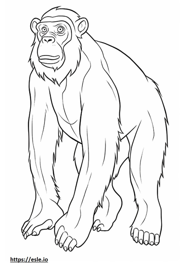Simpanssi söpö värityskuva