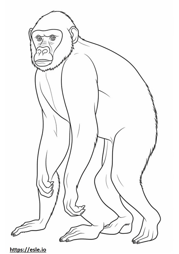 chimpancé lindo para colorear e imprimir