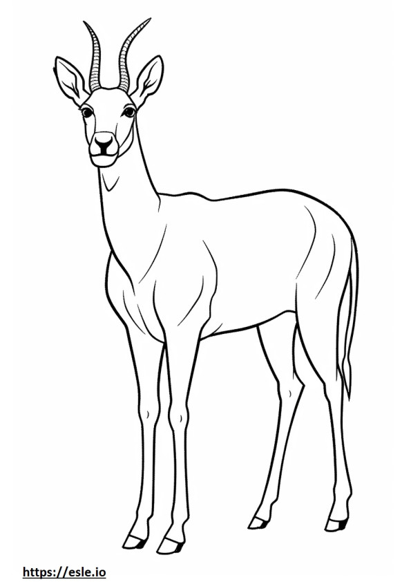 Hartebeest full body coloring page