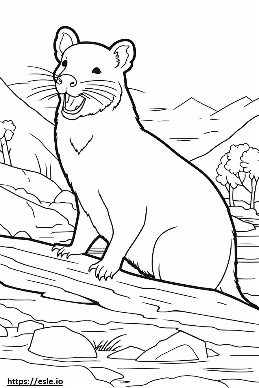 Fisher cute coloring page