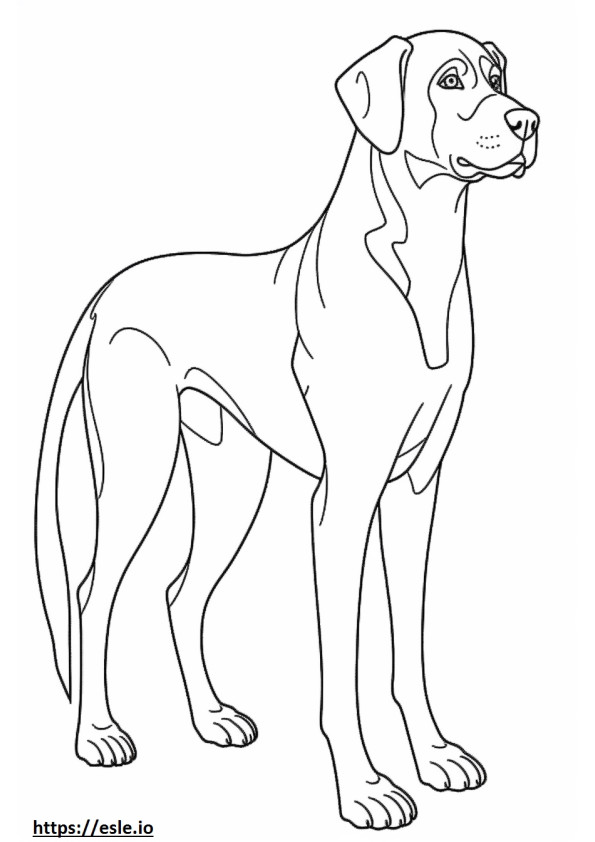 Corpo inteiro do Foxhound inglês para colorir