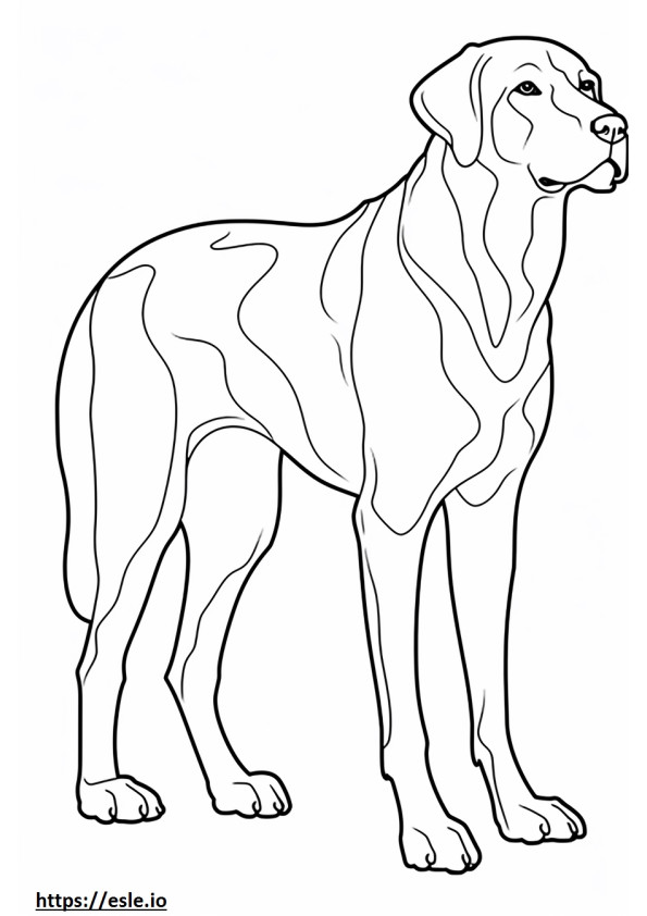 Engelse Foxhound volledig lichaam kleurplaat