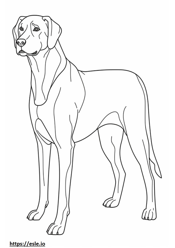 Engelse Foxhound volledig lichaam kleurplaat