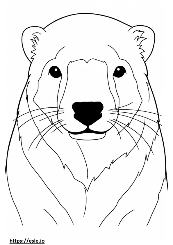 Mongoose face coloring page