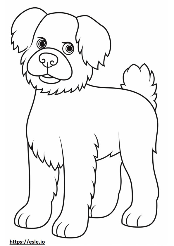 Yorkie Bichon cute coloring page