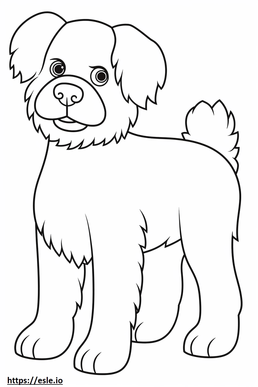Cute Yorkie Bichon Coloring Page