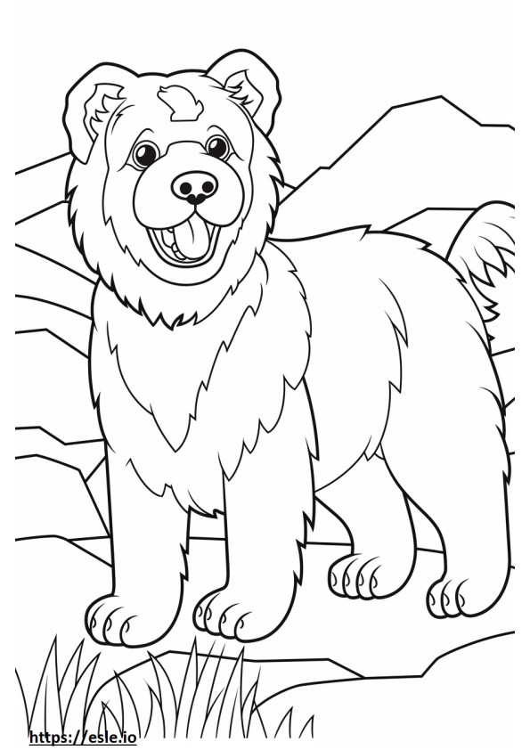 Yorkie Bichon cute coloring page