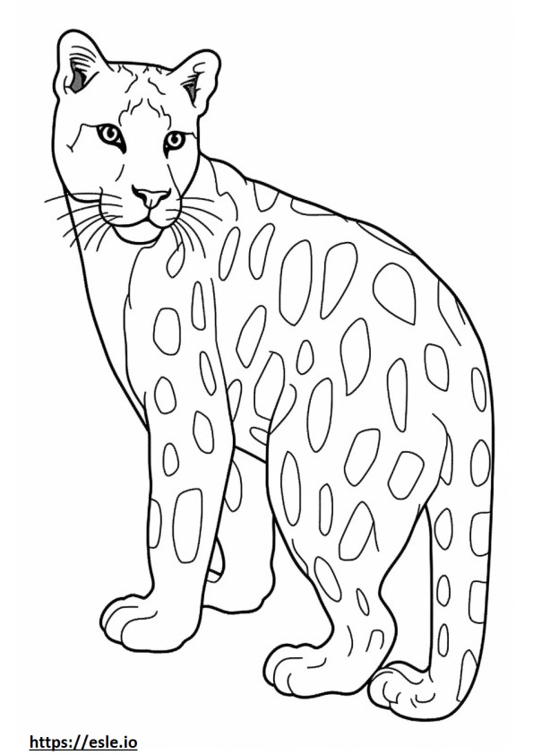 Ocelot full body coloring page