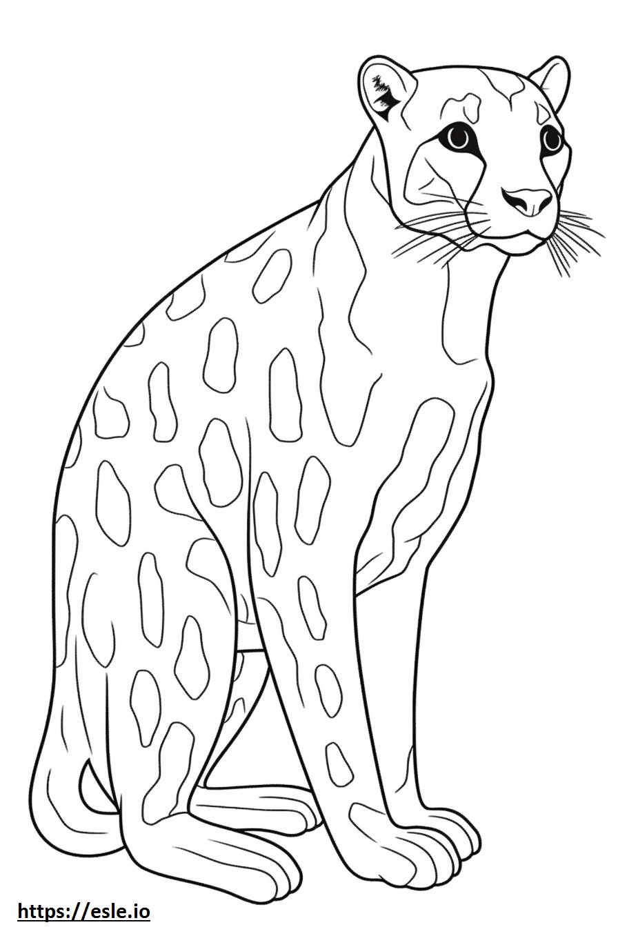 Ocelot a corpo intero 2 da colorare