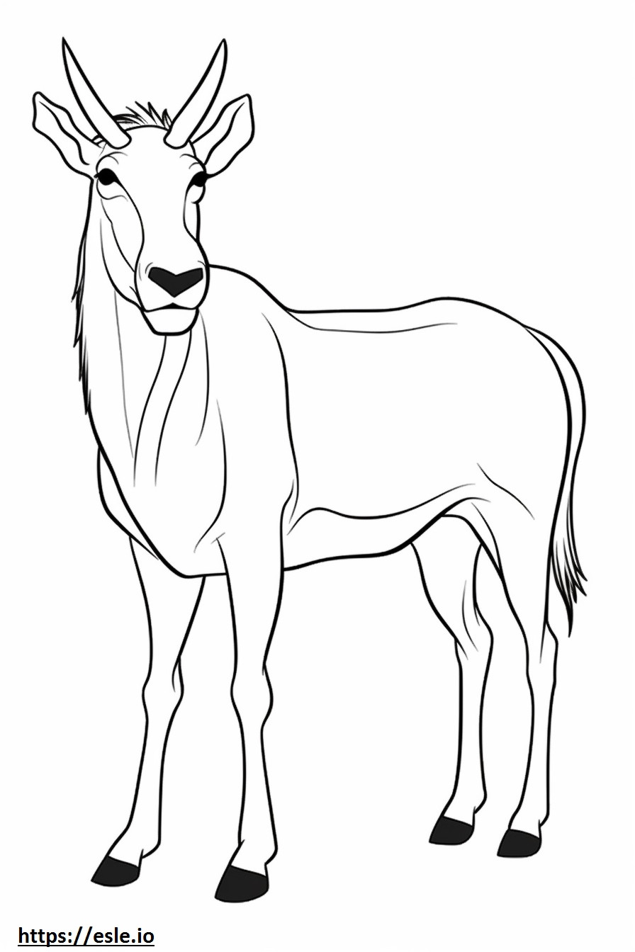 Antilop sevimli boyama