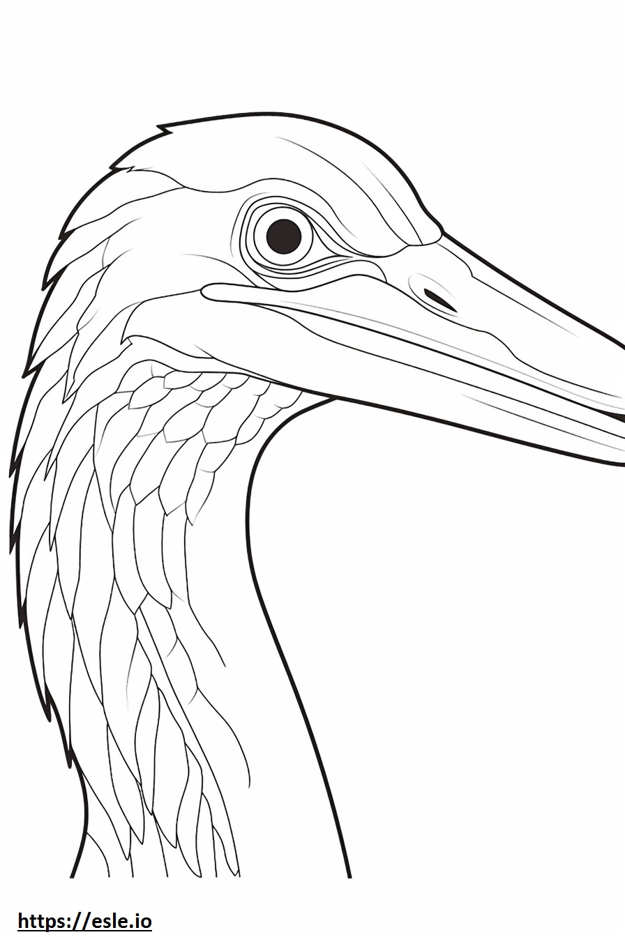 Grey Heron face coloring page