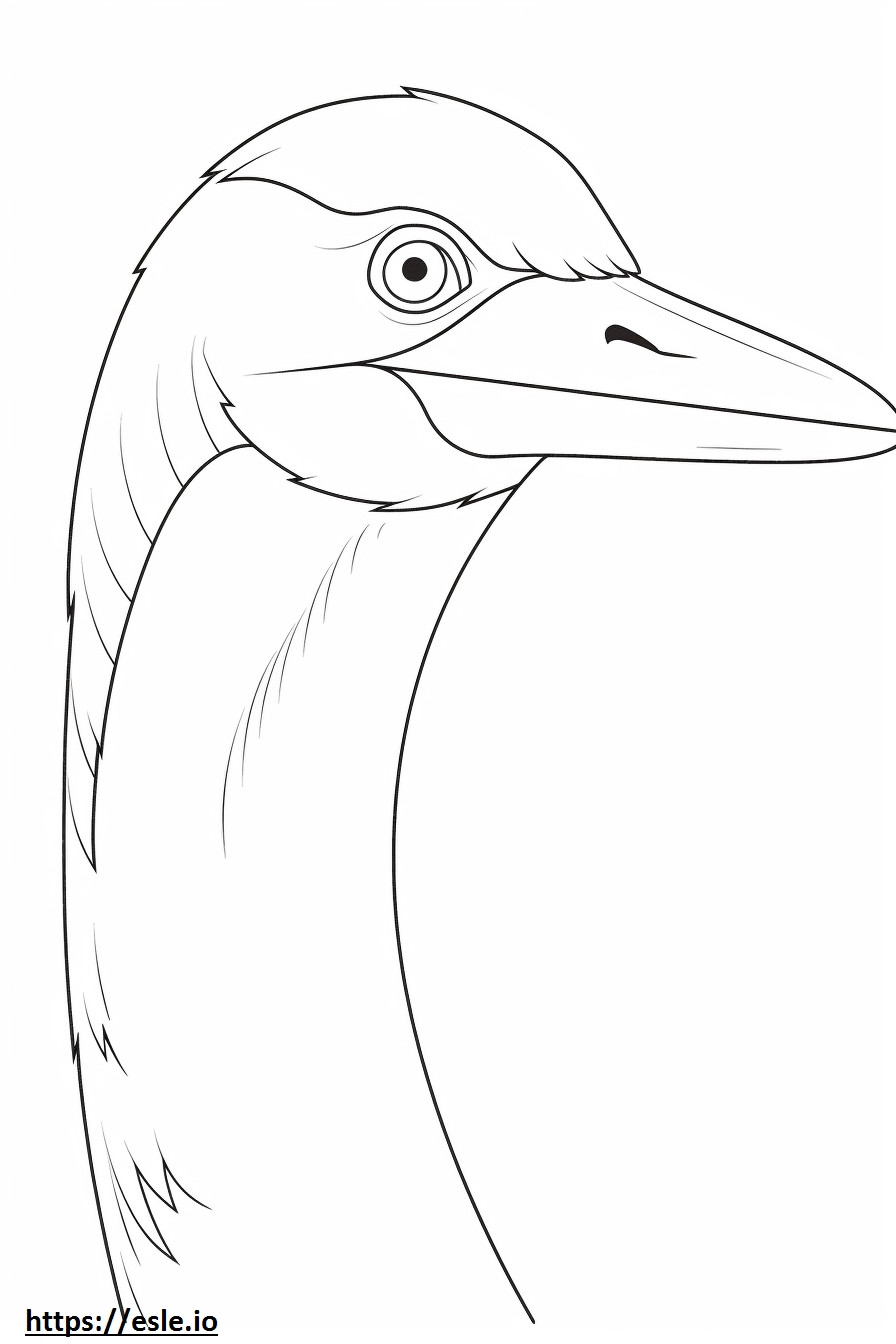 Grey Heron face coloring page