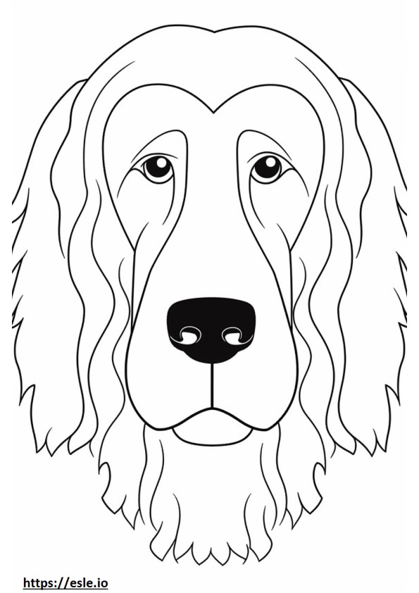Stabyhoun face coloring page