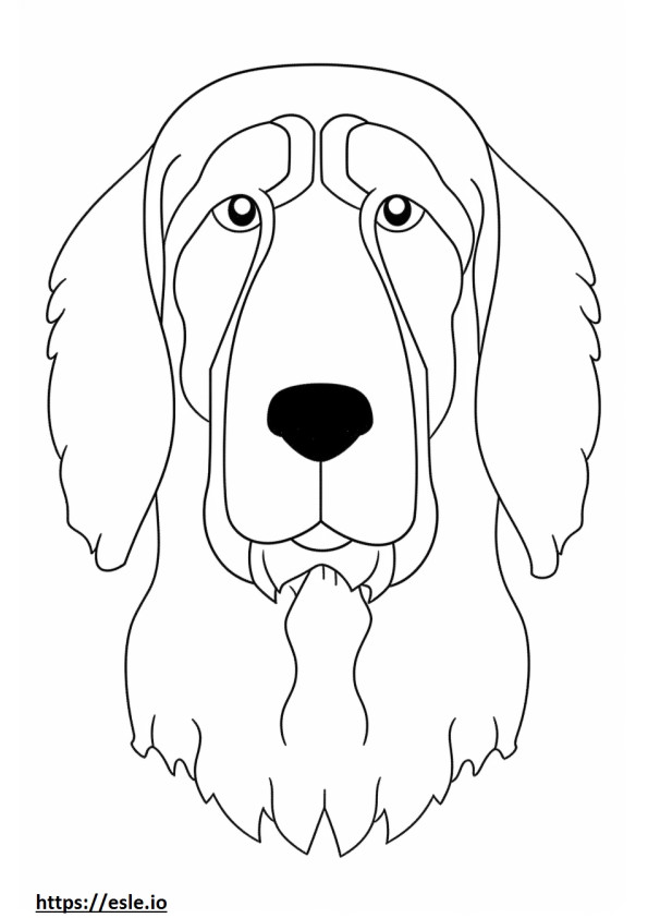 Stabyhoun face coloring page